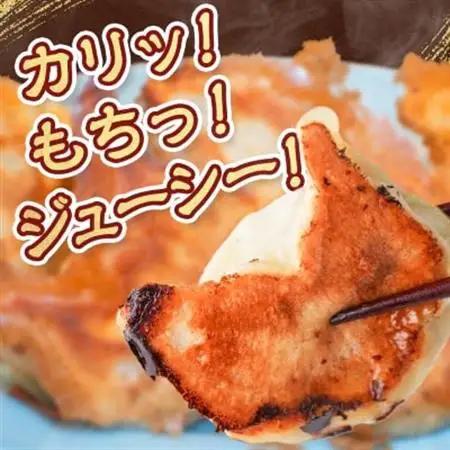 【佐野餃子(大)10個2人前】と【佐野餃子(中)野菜餃子24個4人前】_餃子 ぎょうざ 佐野餃子 野菜餃子 栃木県 佐野 おつまみ おかず 人気 おすすめ 送料無料 贈答 ギフト 冷凍_【配送不可地域