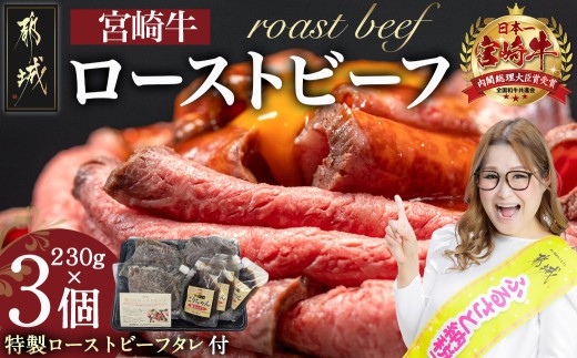 宮崎牛ローストビーフ 230g×3個