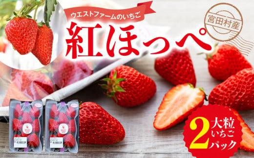 
                  宮田村産　ウエストファームのいちご　紅ほっぺ　約240g×2パック（いちご 果物 くだもの フルーツ 食品 上伊那 宮田村 長野 信州 産地直送 べにほっぺ 新鮮 甘い 甘酸っぱい お取り寄せ 人気 ギフト 贈答 お祝い プレゼント スイーツ デザート ビタミンC 春 限定 国産 日本産 自然派 安心 安全 家庭用 贈答用 朝食用 ヘルシー 健康 食材）
                