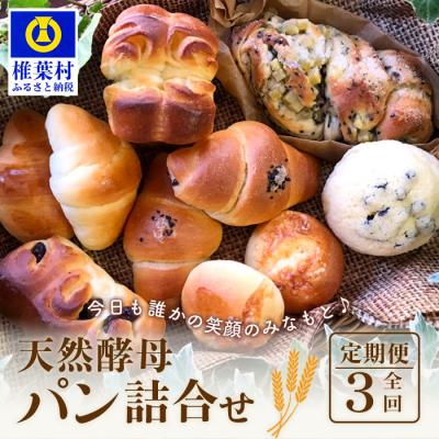 ふるさと納税 椎葉村 《3ヶ月定期便》【秘境・椎葉村の愛されパン屋さん】天然酵母パン 詰め合わせ 7種10個セット