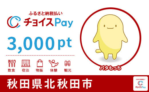 
北秋田市チョイスPay 3,000pt（1pt＝1円）【会員限定のお礼の品】
