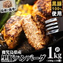 【ふるさと納税】鹿児島県黒豚 100%使用 黒豚ハンバーグ(計1kg・100g×10個) ハンバーグ 冷凍ハンバーグ 黒豚 豚肉 鹿児島県産 国産 簡単 レンジ 湯煎 冷凍 小分け 真空パック【ナンチク】a1-092