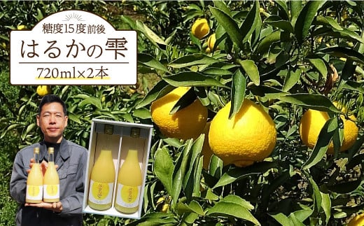 
【ギフト可】【糖度15度前後】はるかの雫（720ml×2本）長与町/岩永農園 [EAZ001]
