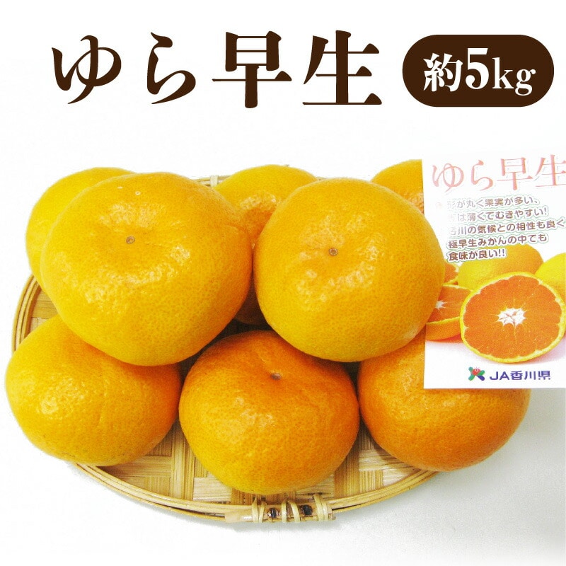 極早生みかんの最高峰 「ゆら早生」 約5kg