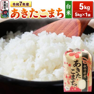 ふるさと納税 男鹿市 令和7年産 【白米】産 あきたこまち 5kg|23_kml-030501