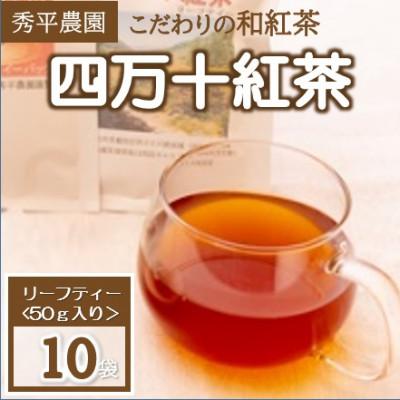 ふるさと納税 津野町 四万十紅茶〈リーフティー〉50g×10袋