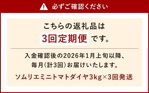 【年3回定期便/2026年1月発送開始】 ソムリエ ミニ トマト ダイヤ 3kg×3回 合計9kg とまと トマト 野菜 やさい 熊本県産 国産