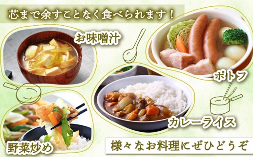 【先行予約】北海道留寿都村産　雪下キャベツ 約10kg（2～5玉）