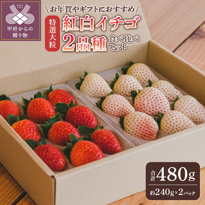 【ふるさと納税】 いちご 紅白いちご 特選大粒 先行予約 食べ比べ セット ギフト 贈答 プレゼント 採れたて フルーツ 計2品種 約240g×2パック 冷蔵 フルーツ王国山梨 甲府市産 k222-006