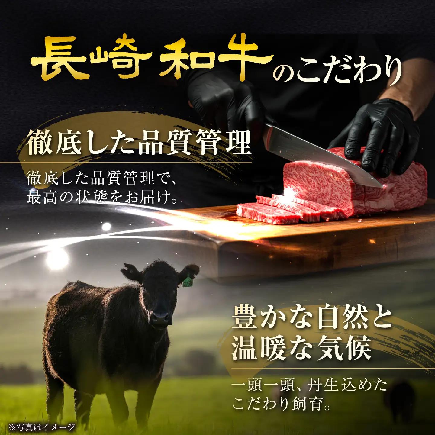 長崎和牛シャトーブリアンステーキ 約100g×4枚 計400g / ステーキ すてーき シャトーブリアン 牛 ブランド牛 牛肉 和牛 肉 にく 国産  / 大村市 / まるしん商会[ACCD039]