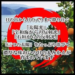日の丸みかん「ゴールド千兩」3kgサイズSまたは2S/約35～45個/2箱/光センサー【F79-5】【1452027】