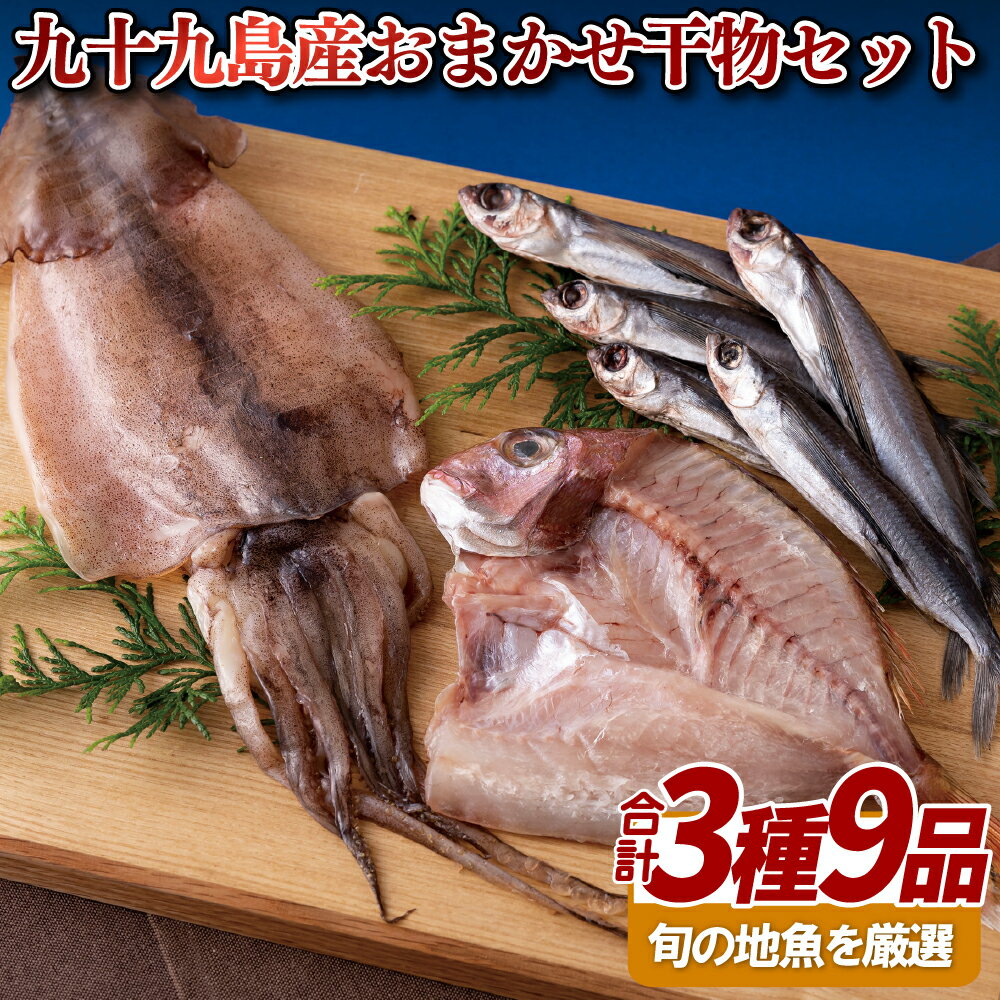 【ふるさと納税】九十九島産おまかせ干物セット 11000円