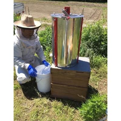 ふるさと納税 丸森町 丸森町産純粋生はちみつ×3個　ギフトセット |  | 03