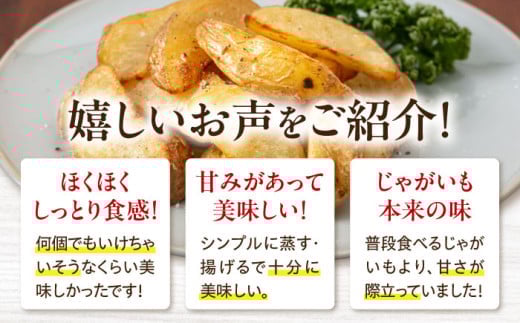 じゃがいも ジャガイモ 新じゃが 男爵 男爵芋 旬 イモ 野菜 期間限定 10kg
