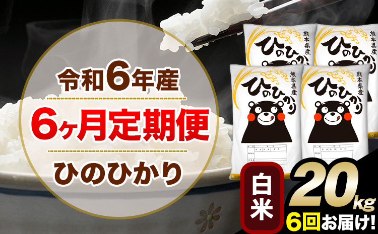 令和6年産 【6ヶ月定期便】 白米 ひのひかり 20kg 5kg×4袋《お申込み翌月から出荷開始》熊本県産 単一原料米 南阿蘇村 ひのひかり 送料無料 熊本県 米 コメ こめ 国産---hn6tei_351000_20kg_mo6_mna_h---