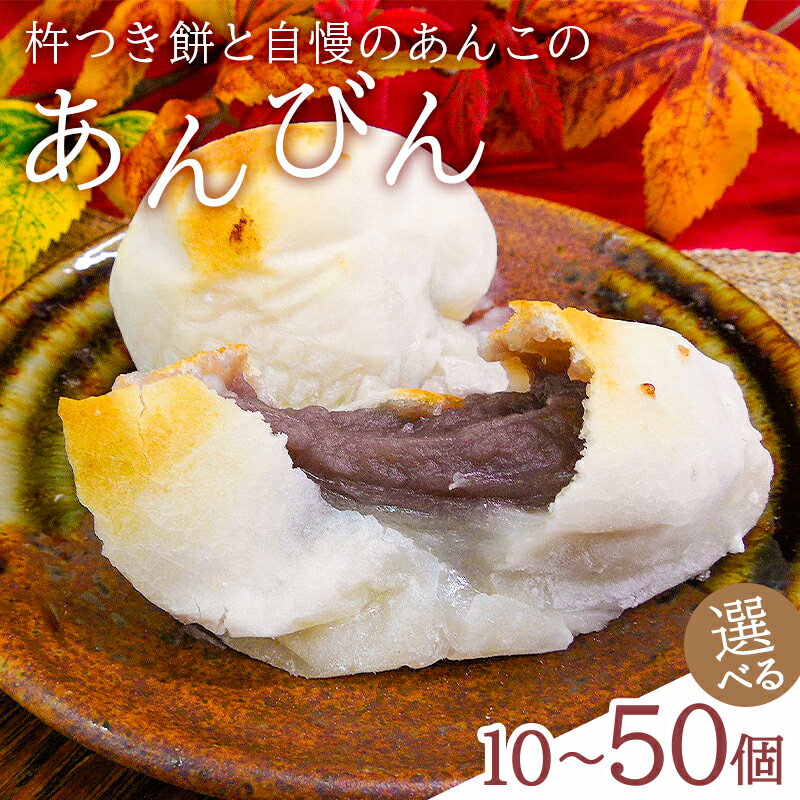 高評価 ★レビュー あんびん 杵つき餅 自慢の あんこ つぶあん こしあん セット ヒメノモチ 保存料不使用化粧箱 お土産 お取り寄せ グルメ スイーツ 和菓子 お菓子 お餅 小豆 お雑煮 焼き餅 お汁粉 正月 千葉県 南房総市 mi0002-0001 送料無料