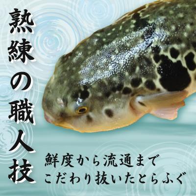 ふるさと納税 下関市 国産 とらふぐ 刺身 セット 2?3人前 冷凍 IP001 |  | 02