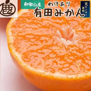 家庭用 熟成みかん10kg+250g（傷み補償分）