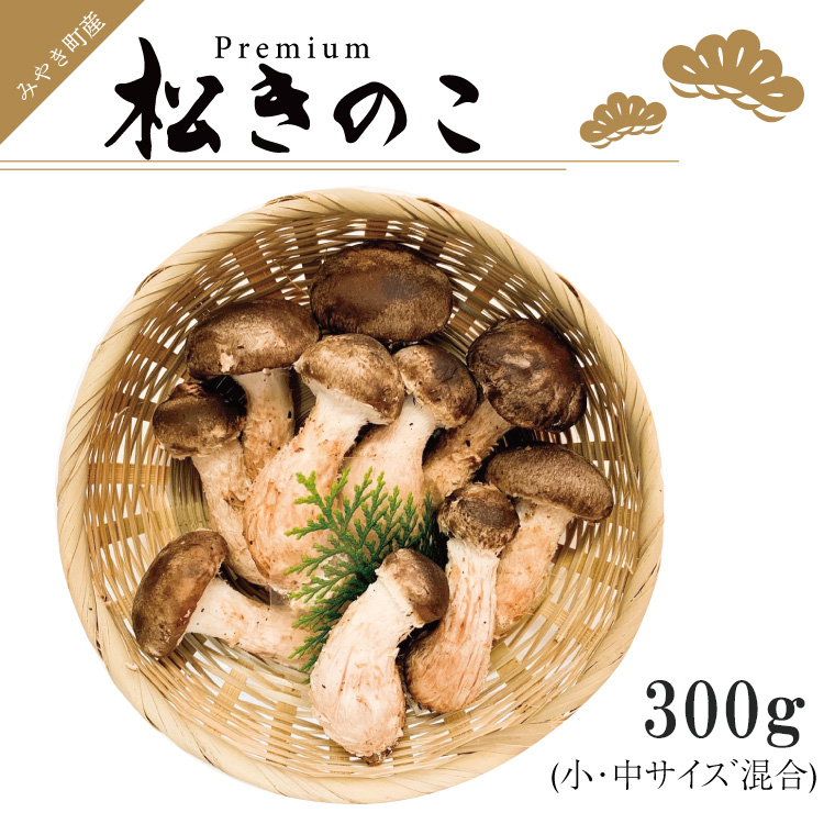 EW013　訳ありお得な高級松きのこサイズ不揃い家庭用300ｇ