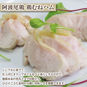 阿波尾鶏 むね肉 正肉 3kg (500g×6パック)