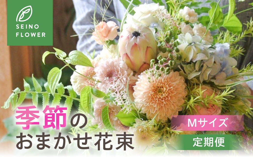 
                  季節のお花 Mサイズ 西濃フラワー 1回 定期便  3回  6回  12回
                