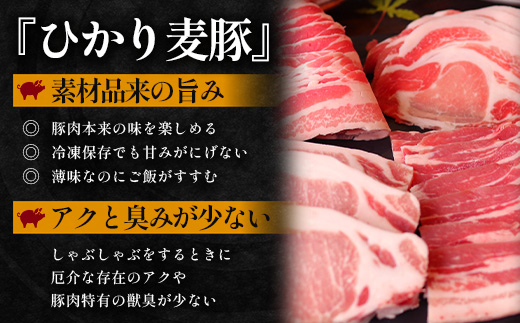 【定期便全3回】ひかり麦豚 プレミアム定期便 ≪月替わりでしゃぶしゃぶ・焼肉・ハンバーグをお届け！≫ 冷凍 HM-11 | 精肉 お惣菜 肉 お肉 にく 豚肉 焼き肉 バーベキュー ロース肉 肩ロース