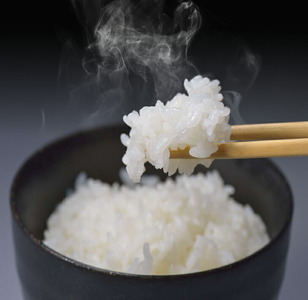 ＼1ヵ月以内発送／令和7年産米 七尾産こしひかり10kg（5kg×2）  | こめ 国産 訳あり 生活応援価格 ご家庭用 石川県 七尾市