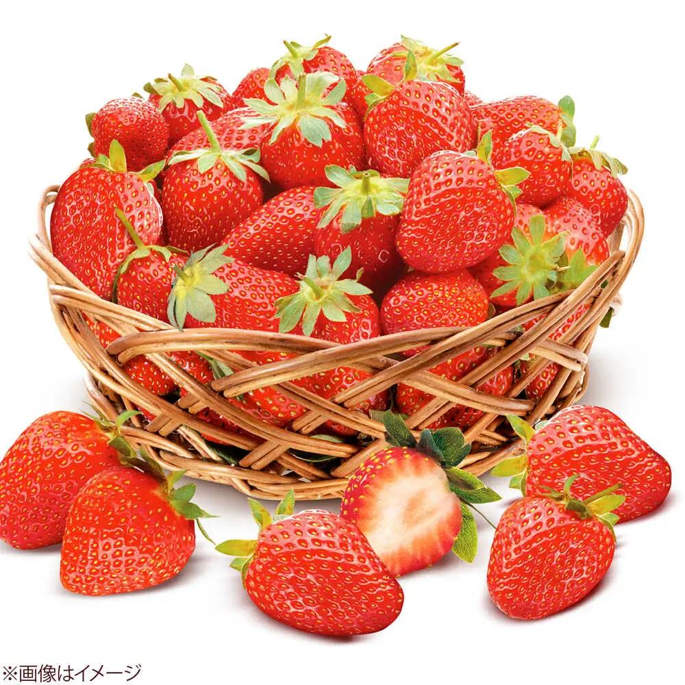 【化粧箱入】あまおう大福 50g×16個 [BGAE048] いちご大福 苺 スイーツ お菓子 手土産