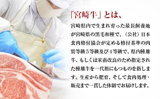 【2月発送】宮崎牛 赤身焼肉600g A4～A5等級 ミヤチク BBQ 牛肉＜1.2-73＞●