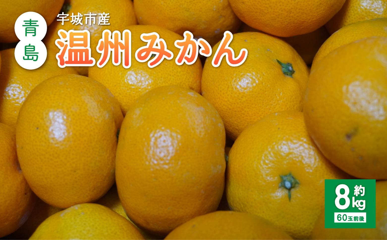 先行予約 みかん 青島 温州みかん 約8kg 60個前後 ひでみかん 【2025年11月下旬から12月中旬頃発送予定】 温州みかん 柑橘 果物 くだもの お取り寄せ 熊本県 宇城市 宇城市産