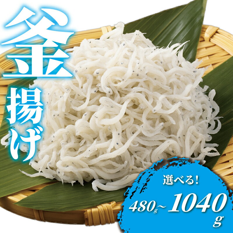 【ふるさと納税】 しらす 計480g ～ 1kg 以上 釜揚げしらす 4パック シラス 魚 釜揚げ 湘南しらす sirasu じゃこ ちりめん しらす干し 江の島しらす イワシ 小分け 便利 海鮮 新鮮 魚介 魚貝 小魚 ごはん 米 おかず 海鮮丼 冷凍 江の島 江ノ島 とびっちょ 神奈川 湘南 藤沢