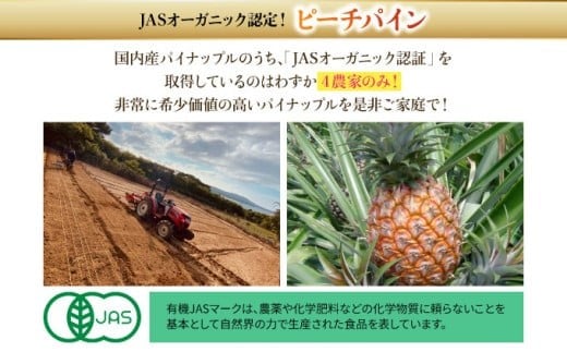 【JASオーガニック】プレミアムピーチパイン 約1.2kg 2～3玉