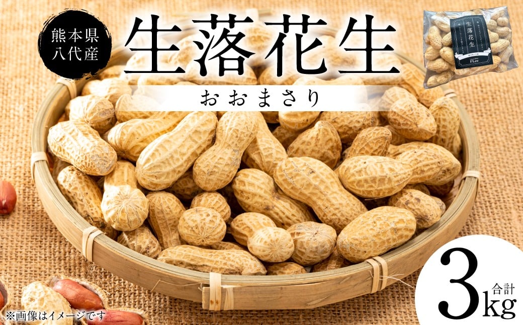 
            【先行予約】 熊本県 八代産 生落花生 [おおまさり] 3kg 落花生 ラッカセイ らっかせい おおまさり 生 なま 茹で おつまみ おやつ ピーナッツ 豆 旬 野菜 【2026年9月上旬より順次発送】
          