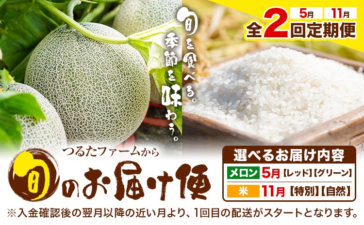 
                  【全2回定期便】つるたファームから旬のお届け便 選べる お届け内容 特別栽培米 自然栽培米 ヒノヒカリ 春風レッド 肥後グリーン メロン 株式会社七城の恵み《メロン5月・米11月出荷予定》熊本県 菊池市 米 メロン ひのひかり 定期便 つるたファーム
                