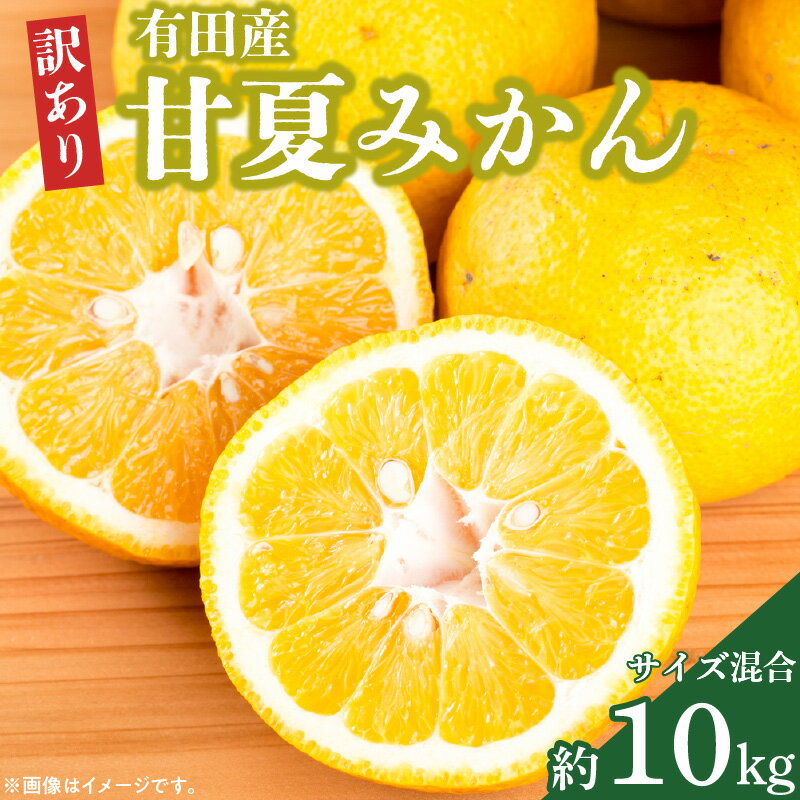 【ふるさと納税】【先行予約】有田産訳ありご家庭用甘夏みかん約10kg（サイズ混合）【甘夏みかん 和歌山県湯浅町】