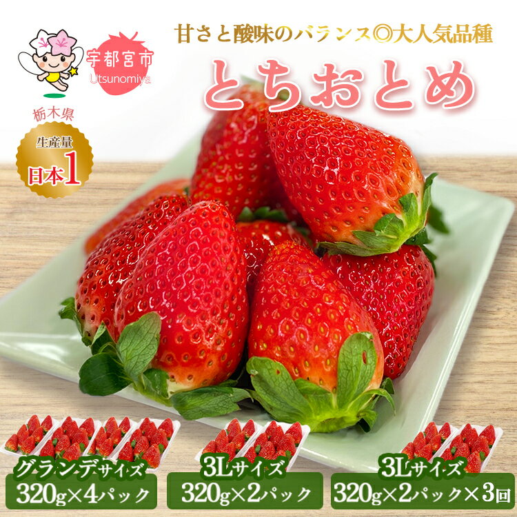 【ふるさと納税】【先行予約】【選べる内容】とちおとめ ご家庭用グランデサイズ(約1.2kg)、3Lサイズ(640g)、定期便 | いちご 苺 イチゴ フルーツ 果物 国産 新鮮 甘い フルーツ スイーツ いちごジャム ※離島への配送不可 ※2026年1月中旬～4月中旬頃に順次発送予定