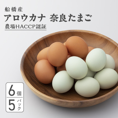 
生で食べて美味しい　アロウカナ　奈良たまご　30個セット　6個×5パック　幸せの青いたまご　奈良養鶏園　農場HACCP認証　船橋産　希少　卵　玉子　鶏卵　たまごかけご飯　TKG
