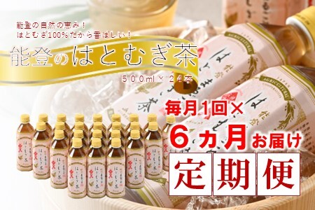 【6回定期便】 はとむぎ茶 24本 お茶 お茶 お茶 お茶 お茶