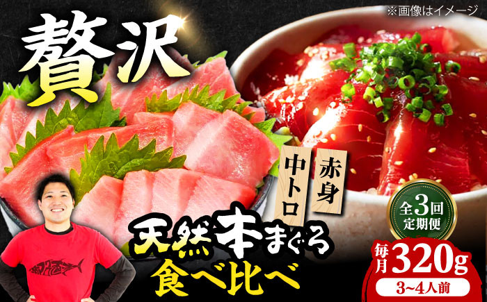 
            【全3回定期便】極上！たね熟天然本まぐろ赤身＆中トロセット(320g 各160g) 天然 マグロ 鮪 中トロ 刺身 魚 赤身 魚介類 海鮮丼 本マグロ 本まぐろ 中トロ 大トロ 赤身 冷凍 お刺身 お寿司 大阪府高槻市/本まぐろ直売所 [AOCE040]
          