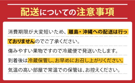 【2024年6月〜発送】どちらが届くかはお楽しみ！温室桃 約1kg / 日川白鳳 or ももか / 桃 もも フルーツ 果物 / 南島原市 / 川田農園[SAP002]