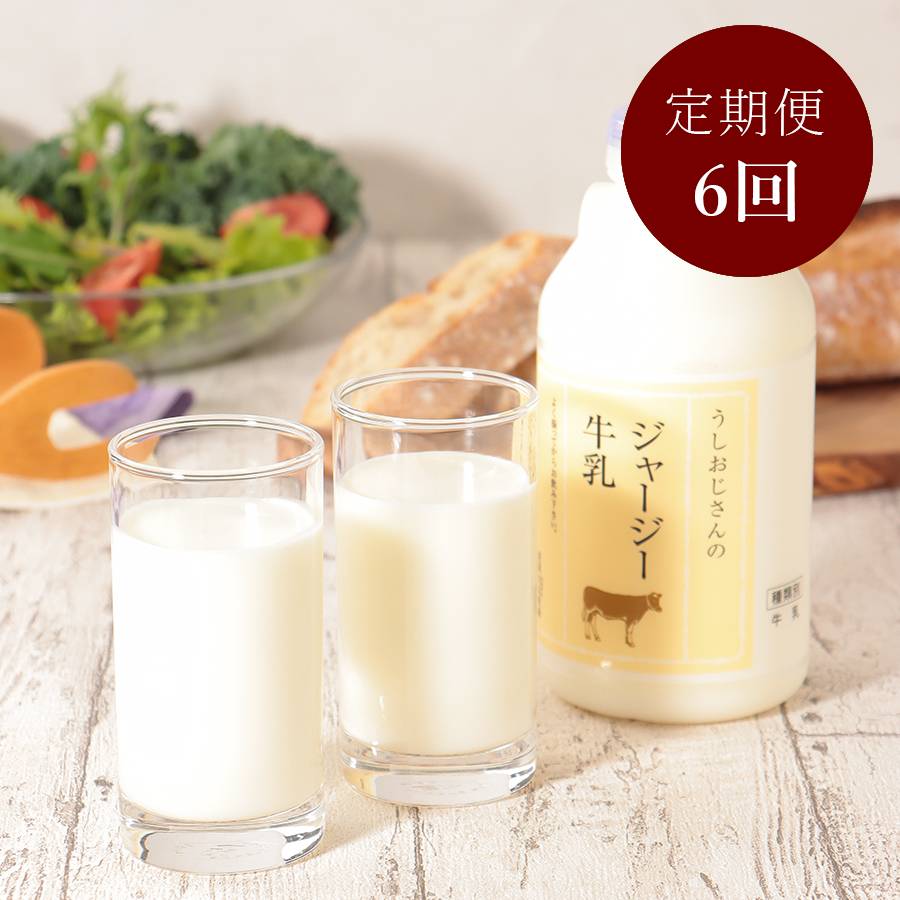 【6ヵ月定期便】＜大山牧場＞ジャージー牛乳500ml×４（計2Ｌ）