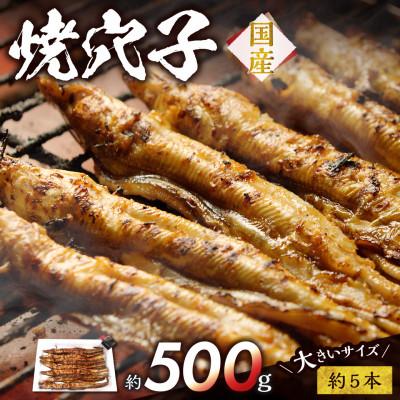 ふるさと納税 備前市 焼穴子 約500g
