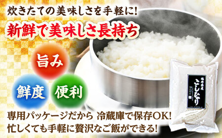【令和6年産】福井県産こしひかり 300g(約2合) × 12パック / 米 精米 お米 小浜市 / シマダ農園 [BFAV002] 