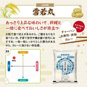 SE0498　【4回定期便】令和7年産 ［無洗米］雪若丸　2kg×4回(計8kg)