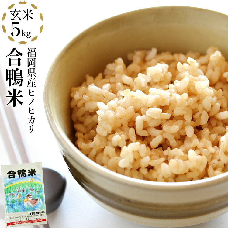 【ふるさと納税】令和7年産 新米予約 合鴨米「ヒノヒカリ」（玄米・5kg） BI03