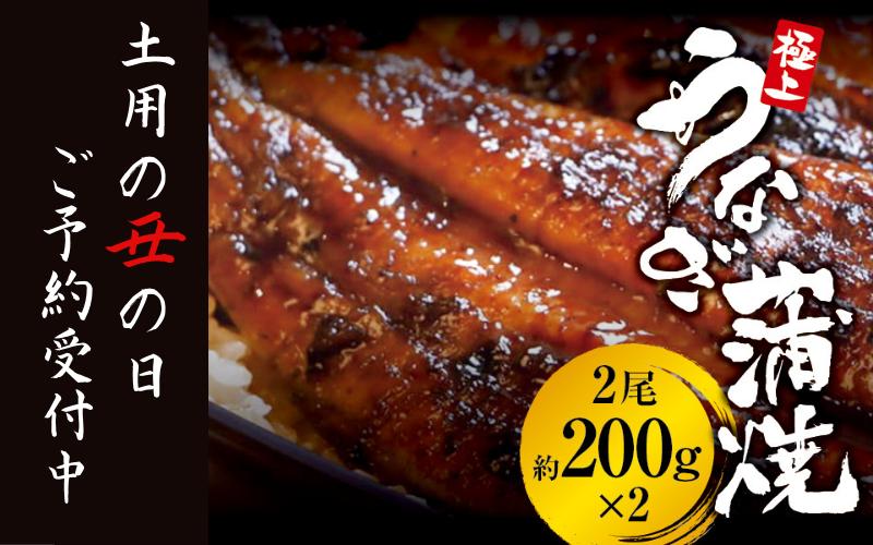 
            【土用の丑の日】予約受付中！極上 国産うなぎ蒲焼 2尾（約200g×2） 創業100年以上続く老舗 紀州備長炭でじっくり焼き上げた専門店の味 （タレ・山椒付き）/ うなぎ ウナギ 鰻 蒲焼 国産 ふるさと納税 先行予約【skr002A-dy】
          