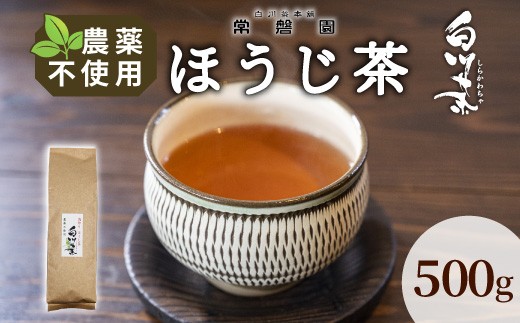 
                  農薬不使用！浅炒りほうじ茶 500g 常磐園 ほうじ茶 浅炒り 日本茶 緑茶 煎茶 茶葉 お茶 一番茶 白川茶 美濃白川茶 農薬不使用栽培茶 春摘み 大容量 岐阜県 東白川村 お取り寄せ 
                