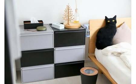 クローゼットシステム ワイド引出し（M） CS-WD2 オールブラック (5色からお好きなカラーが選べる)   奈良県 葛城市【like024-3】