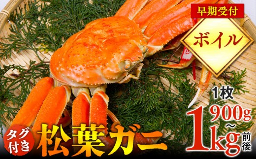 【早期受付】【ボイル】タグ付き松葉ガニ　特大1枚（900g～1kg前後）《かに カニ 蟹》※着日指定不可※2026年11月上旬頃から順次発送予定|蟹 かに 松葉ガニ 松葉蟹 鳥取県産 北栄町 おすすめ 人気