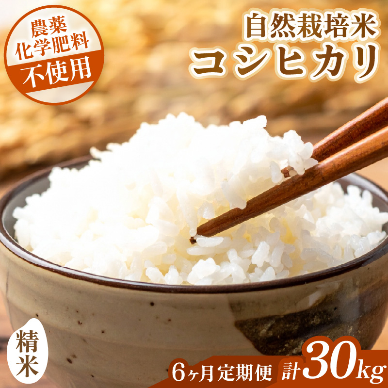 【先行予約】【令和8年産】【定期便】 ≪6ヶ月連続お届け≫ コシヒカリ 精米 5kg×6回 （計30kg） 化学肥料 農薬不使用 自然栽培米 / 北陸 福井県産 あわら市 ブランド米 白米 お米 コメ ※2026年10月上旬以降順次発送予定 [aw138-k002]